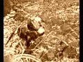 Obermohrer -  bike stunt
