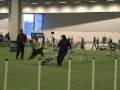 videos de expo ag alvsjo081207