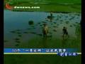 10个一号文件让农民圆梦