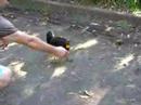 patato turcky patato turcky