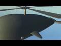 Flight of the Whalicopter