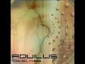 blood rose is one of the new songs from the upcoming album toxic kiss. the second full album release by uk darkwave group aquilus.
