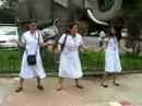 gahasa step in manila zoo gahasa step in manila zoo
