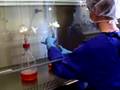Wie Biotechnologen Medikamente herstellen
