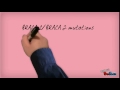 el baul de ideas