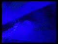 Wet N Wild Video