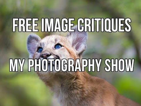 how to isolate subject in photography