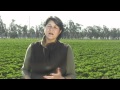 Learn About The Japanese Heritage Of San Miguel Produce
