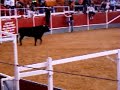 cogida fiestas las rozas 2008( grabado por peske)