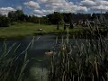 Pocket bike pond jump