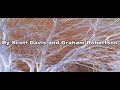 Art-Film-in-D-Minor