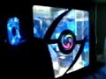 My Computer playing Crazy Pipe
