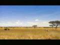 videos de DOWN_COM_zoom.wmv