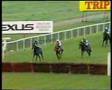 Horse Racing Gone Bad (part 1)