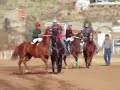 la barbara vs el traviezo  24 de diciembre 2006