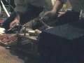 Lullatone - bedroom bossa band live