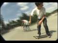 videos de Woody