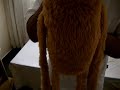 O Cagamento Da Tartaruga