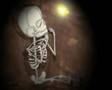 Animated Music Video