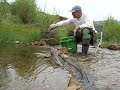 Gold Prospecting Cache Creek, Colorado -- Sluicing For Gold