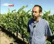 Hora de Baco - RTP - Sugestões de Vinhos