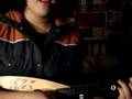 Toxic played on the ukulele