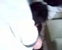 Kaisay nahi khay gaa tarbooz