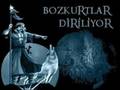 Arif Naz�m   A�lamas�nlar   T�rk�� Bozkurt �lk�c� Alperen