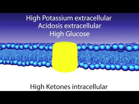 how to treat dka in the er