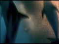 | Dolphins |   Solar stone - Solar coaster (Airbase rmx)