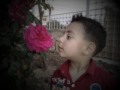 تامر حسني هعيش حياتي