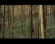 Arvo Part 'Fratres I'