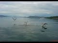 My hometown. Music by Hans Rotmo 