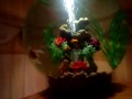 My Fresh Water Biorb
