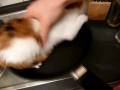 videos de Rinndabraten