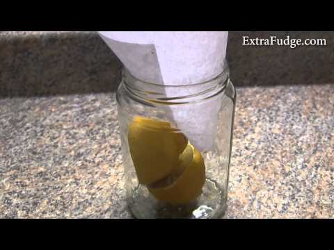 how to eliminate plant flies