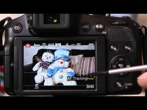 how to turn on flash fz200