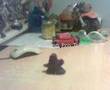 Stop Motion Plasterscene