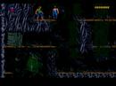 BLACKTHORNE - Bosque-Tramo 4