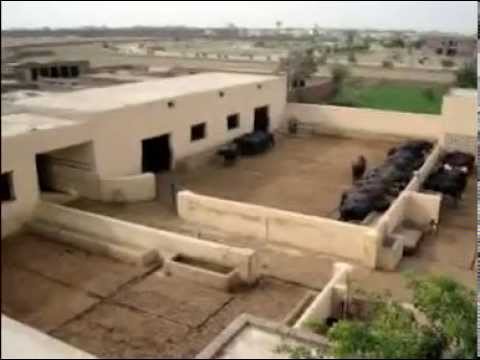 Pak Bahria - www.ghausepakdairyfarms.com.