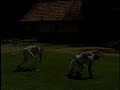 Capoeira - Arte Brasileira