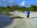 Teasing the Crocodile