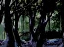 runouri kenshin carol of battosai runouri kenshin carol of battosai