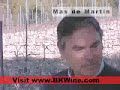 [F] Mas de Martin vineyards, Languedoc, part 1
