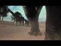 Ab 19. Juli 2007: Dinosaurier 3D - Giganten Patagoniens