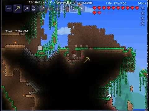 how to collect jungle grass seeds in terraria