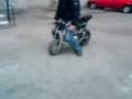videos de beba sestar