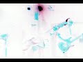 Institution Video Mix