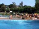 splash-diving in l�rrach