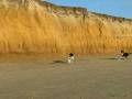 Lucy@ the beach w/Arty